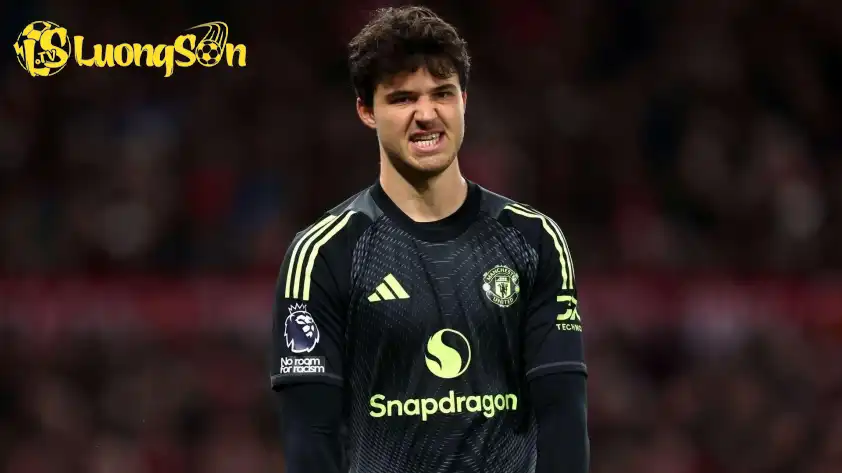 Anh cũng dành những lời khen cho HLV Amorim và các đồng đội